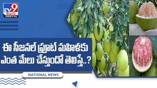 Hair Care Tips: ప్రెగ్నెన్సీ తర్వాత జుట్టు రాలిపోతుందా..? అయితే ఈ వీడియో మీ కోసమే..!