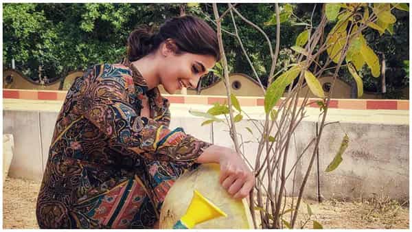 Pooja Hegde: రామోజీ ఫిల్మ్ సిటీలో మొక్కలను నాటిన గోపికమ్మ.. మరో ముగ్గురు బాలీవుడ్ హీరోలకు ఛాలెంజ్