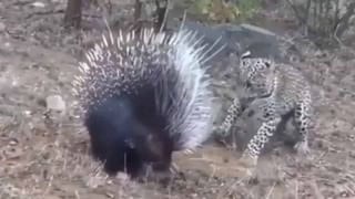 Viral Video: మీరు దెయ్యాలున్నాయంటే నమ్మరా.. అయితే ఒక్కసారి ఈ వీడియో చూడండి..