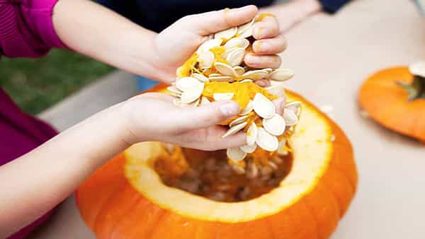 Pumpkin Seeds Benefits: డయాబెటిస్ బాధితులకు గుడ్న్యూస్.. ఈ గింజలు తినండి.. మధుమేహం అదుపులోకి తెచ్చుకోండి..
