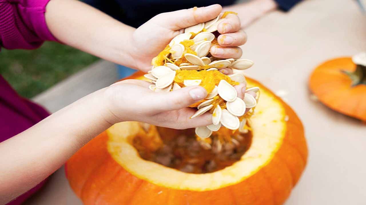 Pumpkin Seeds Benefits: డయాబెటిస్ బాధితులకు గుడ్‌న్యూస్.. ఈ గింజలు తినండి.. మధుమేహం అదుపులోకి తెచ్చుకోండి..