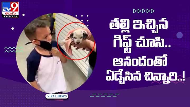 Viral Video: తల్లి ఇచ్చిన గిఫ్ట్ చూసి.. ఆనందంతో ఏడ్చేసిన చిన్నారి..! Viral Video: తల్లి ఇచ్చిన గిఫ్ట్ చూసి.. ఆనందంతో ఏడ్చేసిన చిన్నారి..!
