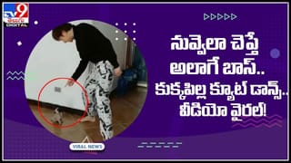 Viral video: కవ్వంతో చిలికిన మేఘాలు ఎప్పుడైనా చూశారా..? అయితే ఈ వీడియో చూస్తే నోరెళ్లబెట్టడం ఖాయం..