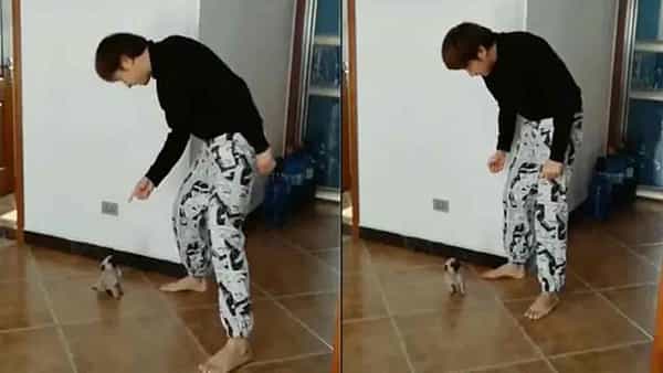 Puppy Dance: యజమాని ఎలా డ్యాన్స్ చేస్తే.. అలాగే చేస్తున్న కుక్కపిల్ల.. క్యూట్ డాన్స్.. వీడియో వైరల్