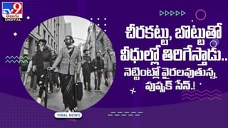 Viral Video: డైనోసార్లను గుర్తుచేసిన కంగారూలు! వీడియో