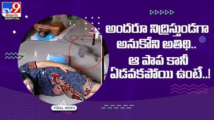 అందరూ నిద్రిస్తుండగా అనుకోని అతిథి !! ఆ పాప కానీ ఏడవకపోయి ఉంటే ?? వీడియో అందరూ నిద్రిస్తుండగా అనుకోని అతిథి !! ఆ పాప కానీ ఏడవకపోయి ఉంటే ?? వీడియో
