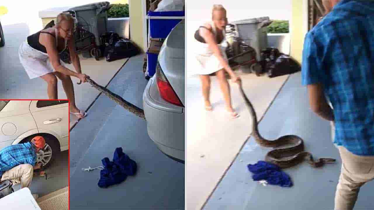 Viral Video: కారులో భారీ కొండ చిలువ.. ధైర్యంతో బయటకు తీసిన తల్లికొడుకు.. వైరల్ అవుతున్న వీడియో..!