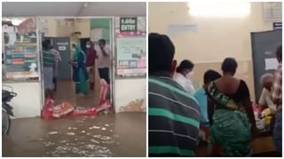 Viral Video: క్రిస్మస్ చెట్టును అలంకరిస్తుండగా వింత శబ్దాలు.. తీరా చూసి ఒక్కసారిగా ఫ్యూజులు ఔట్!