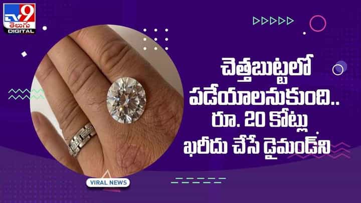 Viral Video: డైమండ్ విలువ తెలియక చెత్తబుట్టలో పడేయాలనుకుంది.. దాని ఖరీదు తెలిసి షాక్.. వీడియో Viral Video: డైమండ్ విలువ తెలియక చెత్తబుట్టలో పడేయాలనుకుంది.. దాని ఖరీదు తెలిసి షాక్.. వీడియో