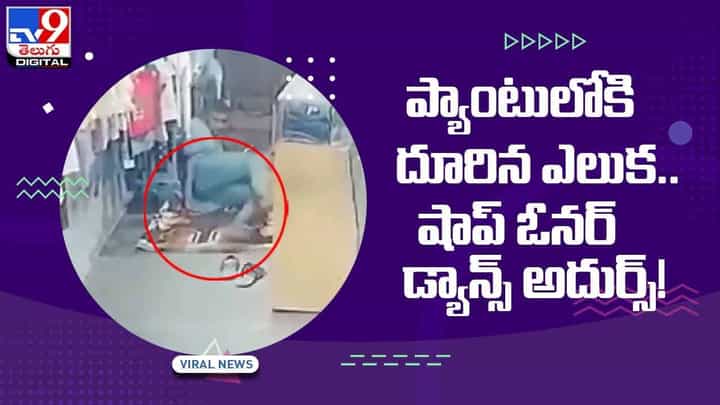 Viral Video: ప్యాంటులోకి దూరిన ఎలుక.. షాప్ ఓనర్ డ్యాన్స్ అదుర్స్..! వీడియో Viral Video: ప్యాంటులోకి దూరిన ఎలుక.. షాప్ ఓనర్ డ్యాన్స్ అదుర్స్..! వీడియో