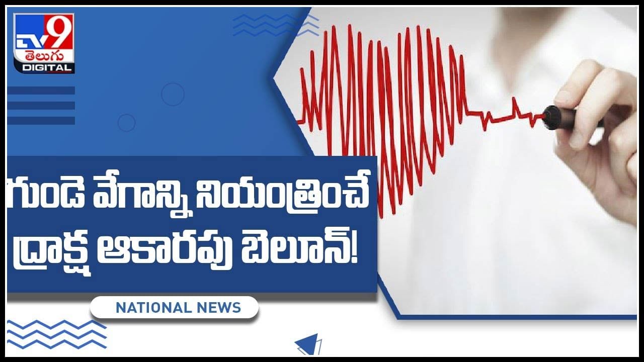 Heart Balloon: గుండె వేగాన్ని నియంత్రించే ద్రాక్ష ఆకారపు బెలూన్..! యూకెలో నూతన ఆవిష్కారం..(వీడియో)