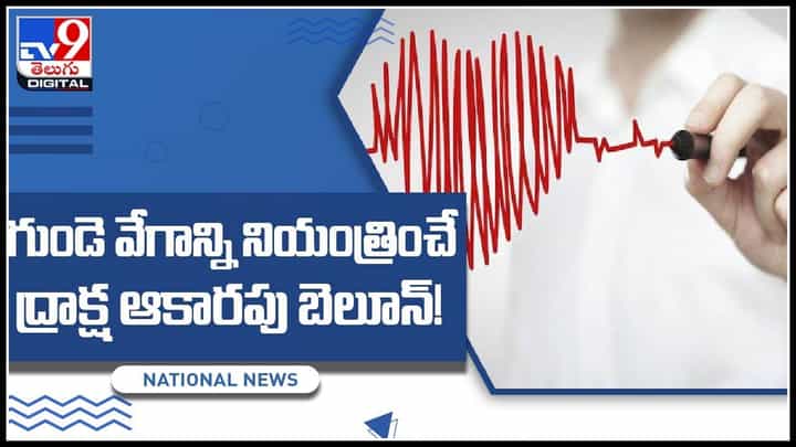 Heart Balloon: గుండె వేగాన్ని నియంత్రించే ద్రాక్ష ఆకారపు బెలూన్..! యూకెలో నూతన ఆవిష్కారం..(వీడియో) Heart Balloon: గుండె వేగాన్ని నియంత్రించే ద్రాక్ష ఆకారపు బెలూన్..! యూకెలో నూతన ఆవిష్కారం..(వీడియో)