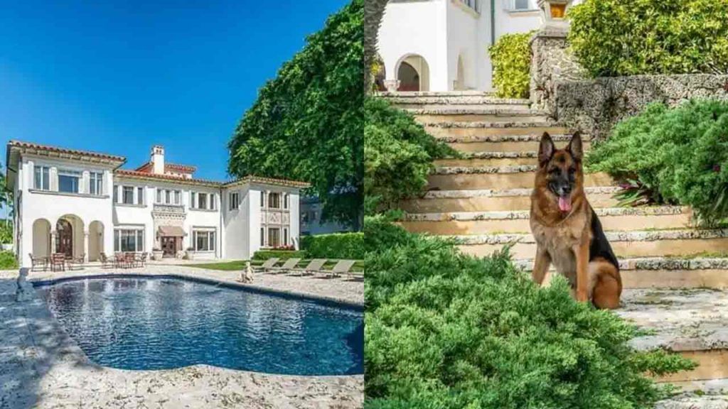 Richest Dog: వేల కోట్ల ఆస్తికి వారసురాలు ఈ కుక్క.. దశాబ్దాలుగా ఈ శునకాలు వారసత్వంగా వేల కోట్ల ఆస్తి Richest Dog: వేల కోట్ల ఆస్తికి వారసురాలు ఈ కుక్క.. దశాబ్దాలుగా ఈ శునకాలు వారసత్వంగా వేల కోట్ల ఆస్తి