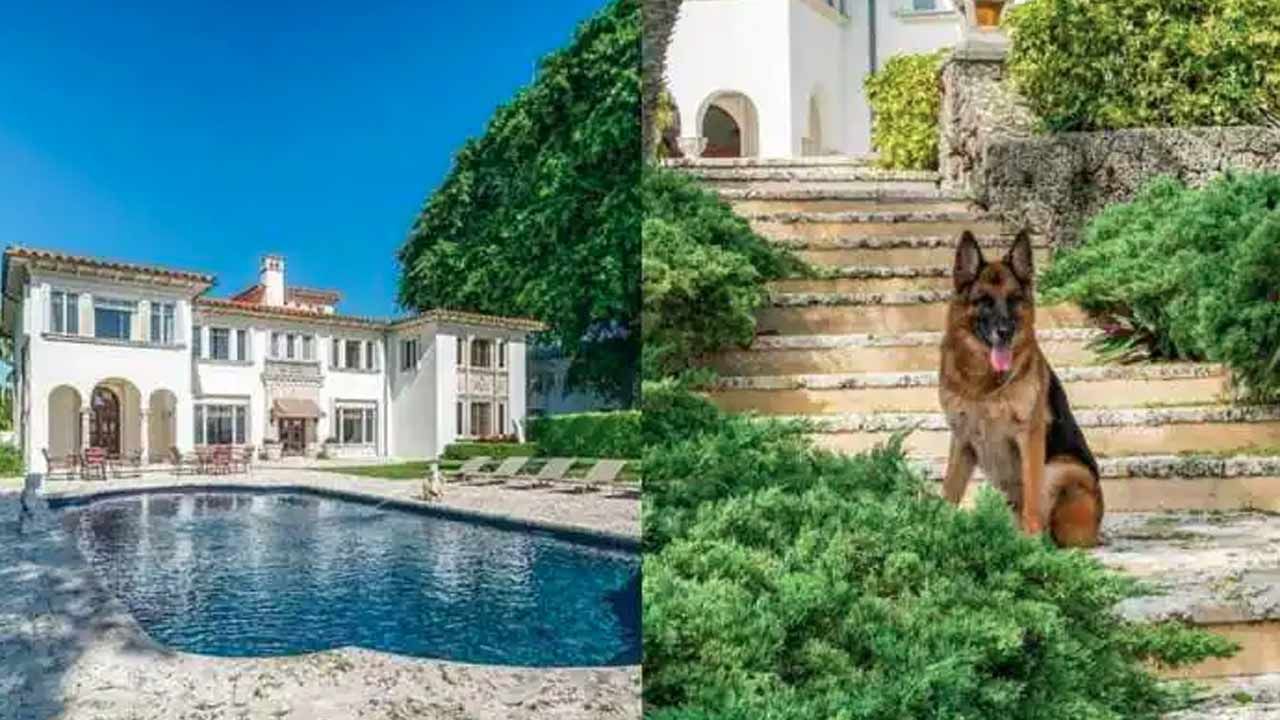 World's Richest Dog: ప్రపంచంలోనే అత్యంత సంపన్న కుక్క.. ఆస్తి విలువ తెలిస్తే బిత్తరపోవడం ఖాయం..!