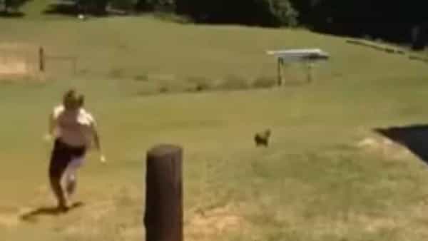 Viral Video: కోడికి కోపం వస్తే ఇలాగే ఉంటుంది మరీ!.. బట్టలూడదీసేంత పని చేసేసింది బాబోయ్..