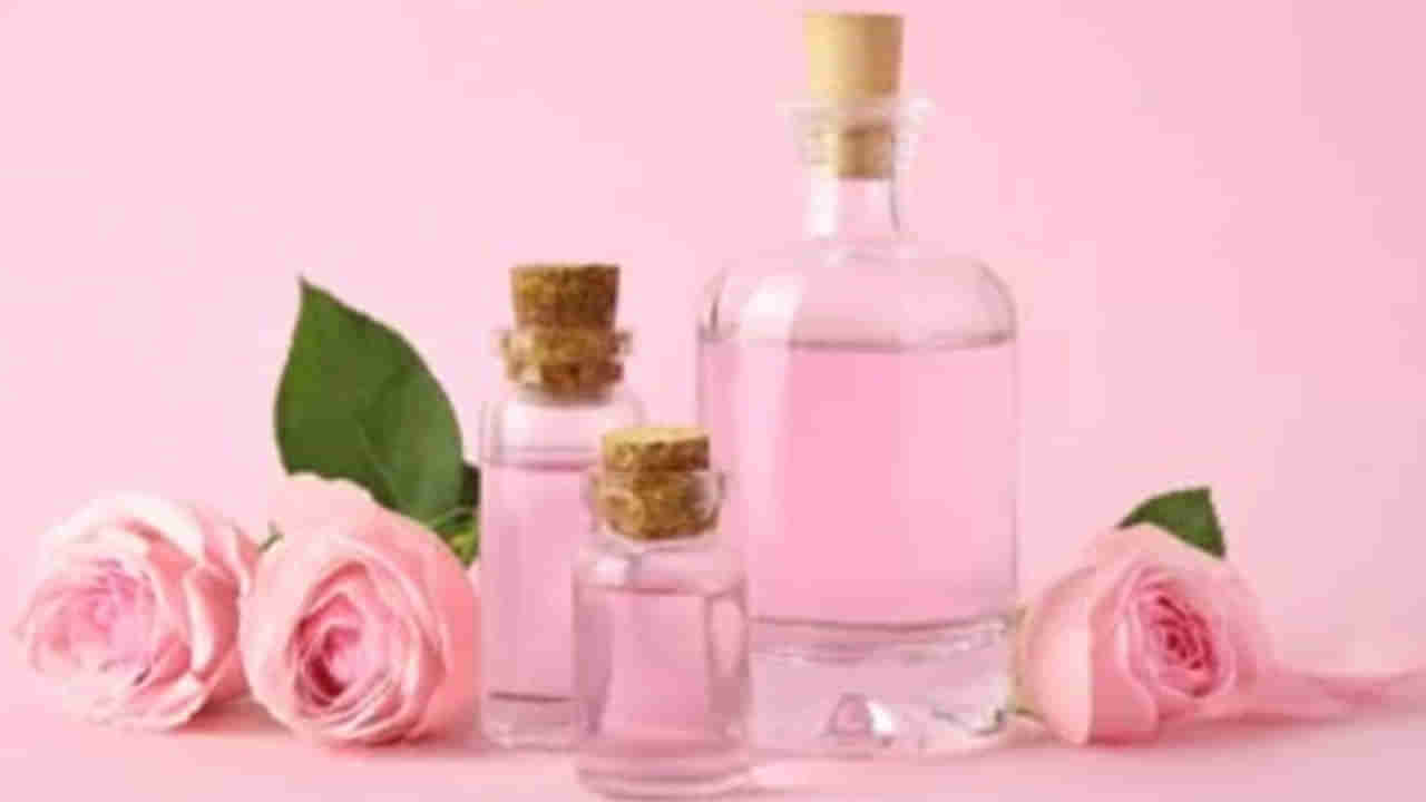 Benefits of Rose: గులాబీలు అందానికే కాదు.. జుట్టు పెరుగుదలకు కూడా అద్భుతంగా పనిచేస్తాయి ఎలా అంటే..