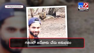 పైకి చూస్తే భారీ బంగాళదుంప !! అసలు విషయం తెలిస్తే షాకే !! వీడియో