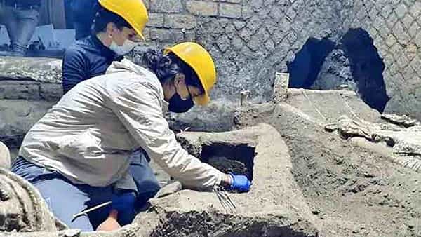 Viral News: తవ్వకాల్లో బయటపడ్డ పురాతన బానిస గది.. అందులో ఏముందో తెలిస్తే షాకే.!