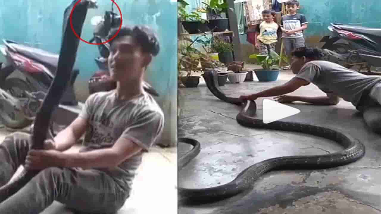 Viral Video: అమ్మబాబోయ్! వీడు అసాధ్యుడు.. ఏకంగా కింగ్ కోబ్రాతోనే డ్యాన్స్ చేశాడు.. షాకింగ్ వీడియో