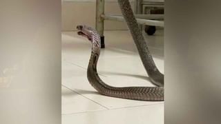 MLA Roja: కోనసీమలో సందడి చేసిన ఎమ్మెల్యే, సినీనటి రోజా.. పంటు పడవపై ప్రయాణిస్తూ..