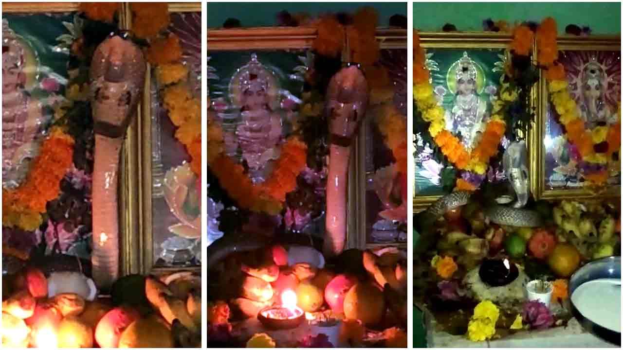 Over 700 Devotees Attend Lord Ayyappa Padi Pooja | | NRI Pulse