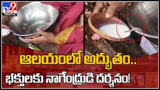 Jawad Cyclone: ముంచుకొస్తున్న మహా తుఫాన్.. ఆయా జిల్లాలకు రెడ్ అలెర్ట్.. (వీడియో)