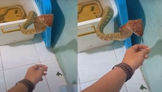 Sabairmala Temple: రేపటి నుంచి మండల పూజకు తెరుచుకోనున్న అయ్యప్ప ఆలయం.. వర్షాల దృష్ట్యా భక్తులకు స్పాట్ బుకింగ్ నిలిపివేత…