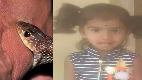 Telangana: కాటేసిన పాము.. పసుపు రాసి నిద్రపుచ్చిన ఆయమ్మ.. పాపం చిట్టి తల్లి