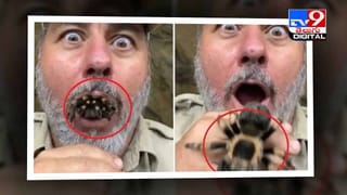 చైనీస్‌ అరటికి భలే గిరాకీ !! వెరీ స్పెషల్‌ అట !! వీడియో