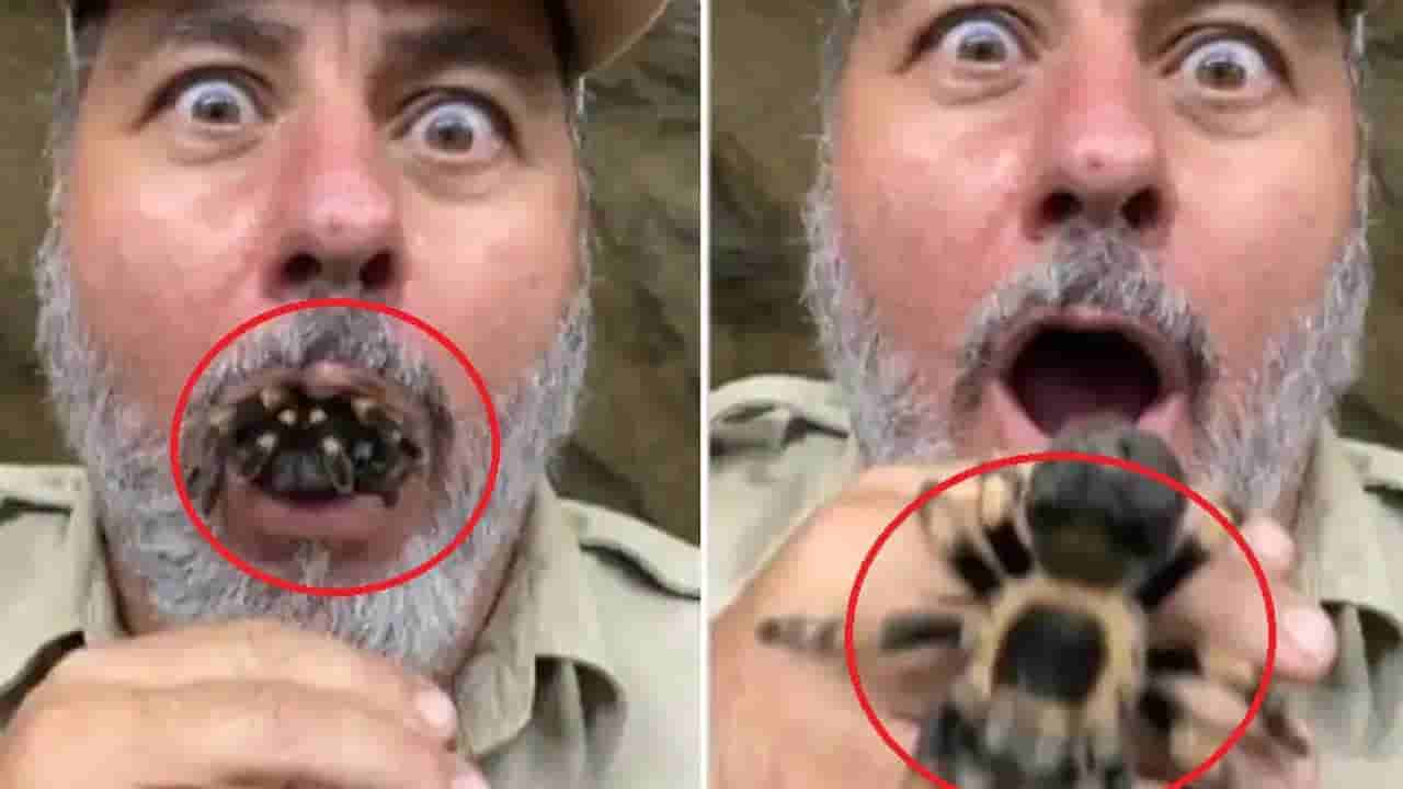 Viral Video: నోట్లోంచి పెద్ద సాలె పురుగు.. ఒళ్లు గగుర్పొడిచే వీడియో