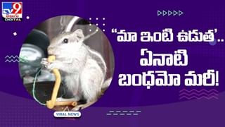 Viral Video:  చిన్ననాటి ఆ సంతోషాలు ఎప్పటికీ మర్చిపోలేనివి.. ఈ వీడియో  చూస్తే మీరు కూడా ఒప్పుకుంటారు..