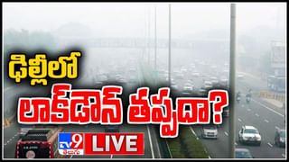 Birds Hospital: పక్షులకూ ఓ ఆస్పత్రి.. ప్రత్యేకతలు తెలిస్తే అవాక్కే..! వైద్యం ,స్మశానవాటిక ప్రత్యేక ఏర్పాటు..(వీడియో)