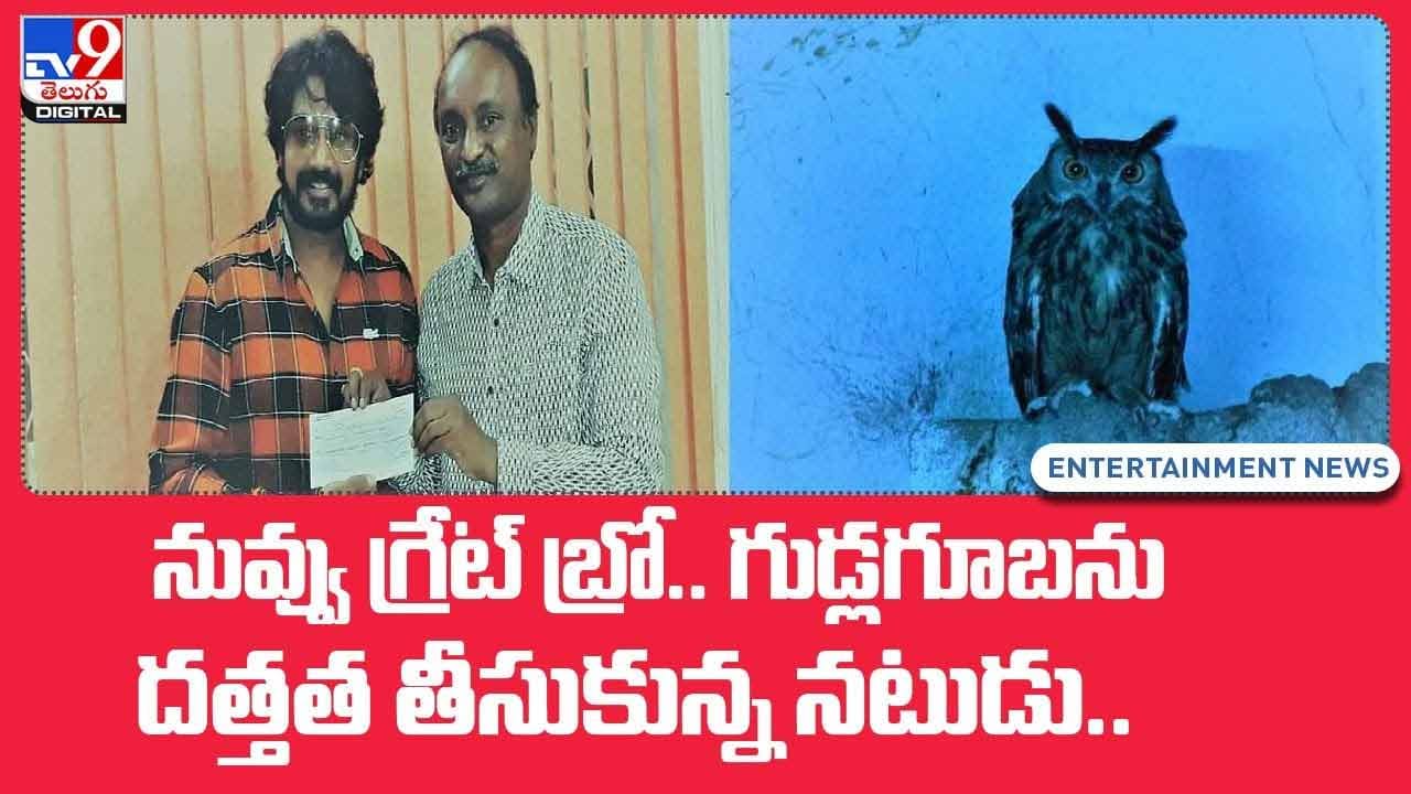 నువ్వు గ్రేట్‌ బ్రో.. గుడ్లగూబను దత్తత తీసుకున్న నటుడు !! వీడియో