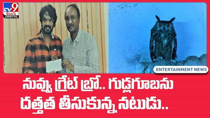 నువ్వు గ్రేట్ బ్రో.. గుడ్లగూబను దత్తత తీసుకున్న నటుడు !! వీడియో నువ్వు గ్రేట్ బ్రో.. గుడ్లగూబను దత్తత తీసుకున్న నటుడు !! వీడియో