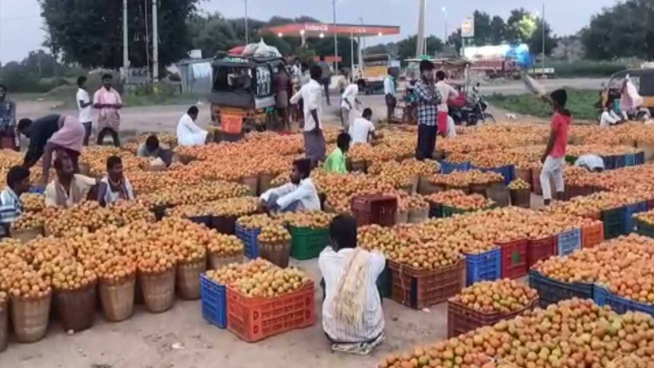 Tomato: రికార్డు సృష్టిస్తున్న టమాటా ధర.. కర్నూలు జిల్లా ఆస్పరిలో కిలోకు రూ.150..