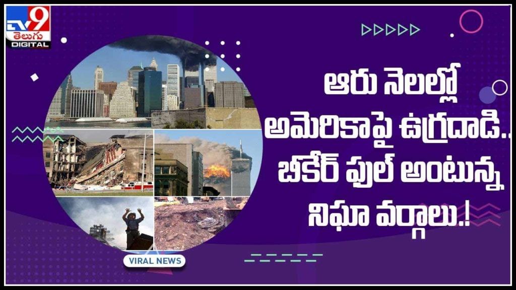 Terrorist on USA: ఆరు నెలల్లో అమెరికాపై ఉగ్రదాడి.. బీకేర్ ఫుల్ అంటున్న నిఘా వర్గాలు.! అన్ని క్లిప్స్ ఒకే వీడియోలో.. Terrorist on USA: ఆరు నెలల్లో అమెరికాపై ఉగ్రదాడి.. బీకేర్ ఫుల్ అంటున్న నిఘా వర్గాలు.! అన్ని క్లిప్స్ ఒకే వీడియోలో..