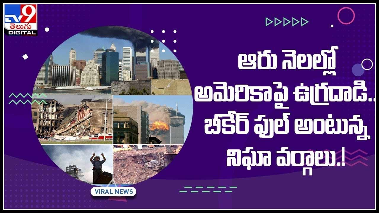 Terrorist on USA: ఆరు నెలల్లో అమెరికాపై ఉగ్రదాడి.. బీకేర్‌ ఫుల్‌ అంటున్న నిఘా వర్గాలు.! అన్ని క్లిప్స్ ఒకే వీడియోలో..