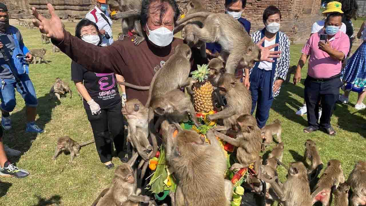 Monkey Festival: అట్టహాసంగా కోతుల ఫెస్టివల్.. భారీగా పాల్గొన్న పర్యాటకులు.. ఎక్కడంటే..? వీడియో..