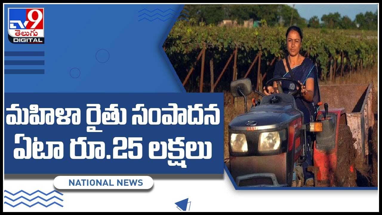 woman wineyard: రైతుగా మారిన మహిళ.. ఏటా రూ 25 లక్షలు సంపాదన.. ఎలానో తెలిస్తే షాక్ అవుతారు.. (వీడియో)