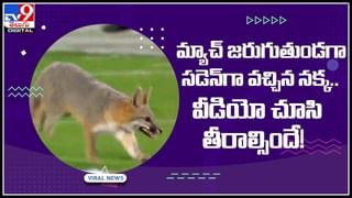 locusts Food: ఆ దేశంలో తినే ఆహారపదార్ధాల లిస్ట్‌లో మిడతలు.. ప్రోషకాలకు నిలయం ఈ కీటకాలు .. ఎలా తినాలంటే..