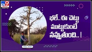 Telangana: శివాలయంలో అద్భుతం… చేద బావి నుంచి సలసలా మరిగే వేడి నీళ్లు