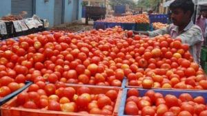 Tomatoes Stolen: టమాట దొంగలు.. పక్కా ప్లాన్ వేసి ఎత్తుకెళ్లారు.. ఏపీలో కలకలం..