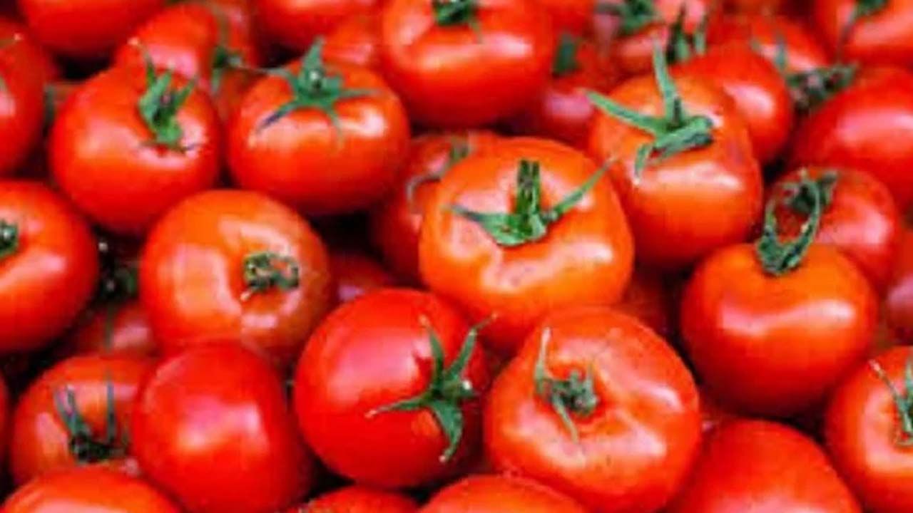 Tomato: టమాటా తరుచుగా తింటున్నారా.. అయితే ఇవి విషయాలు తెలుసుకోండి..