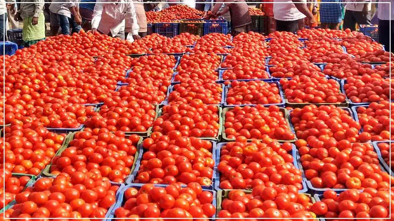 Tomato price: వాతావరణం కంటే వేగంగా మారుతోన్న టమాట ధర.. మరోసారి మోత పుట్టిస్తోంది