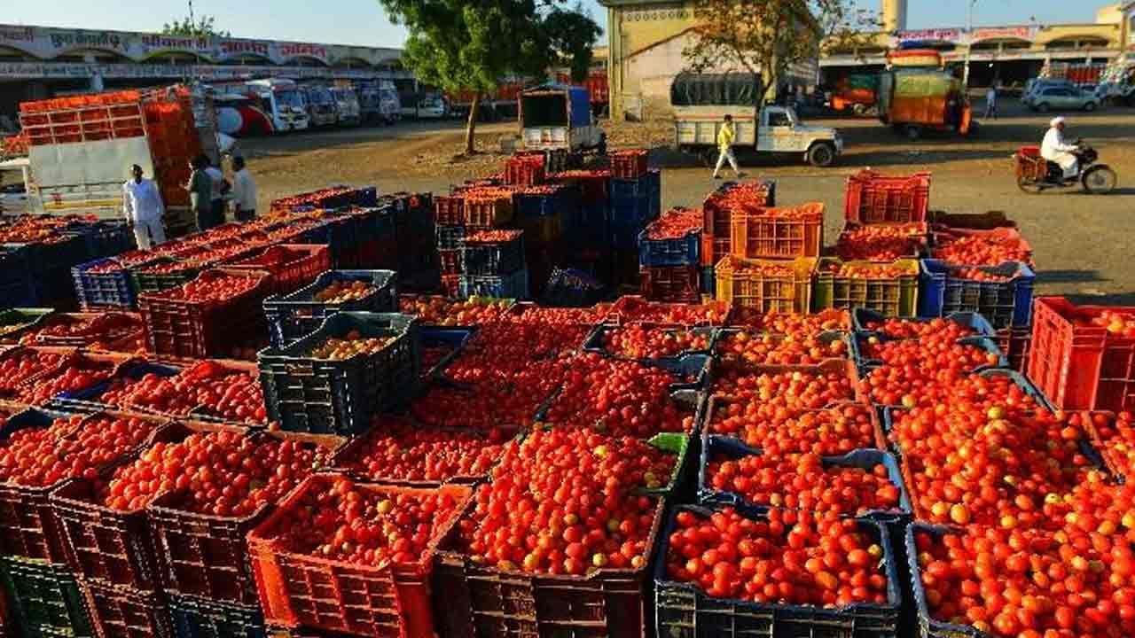 Tomato Price: ధరల్లో హెచ్చుతగ్గులు.. ఇలా చేయాలంటూ ప్రభుత్వానికి టమాట రైతుల డిమాండ్