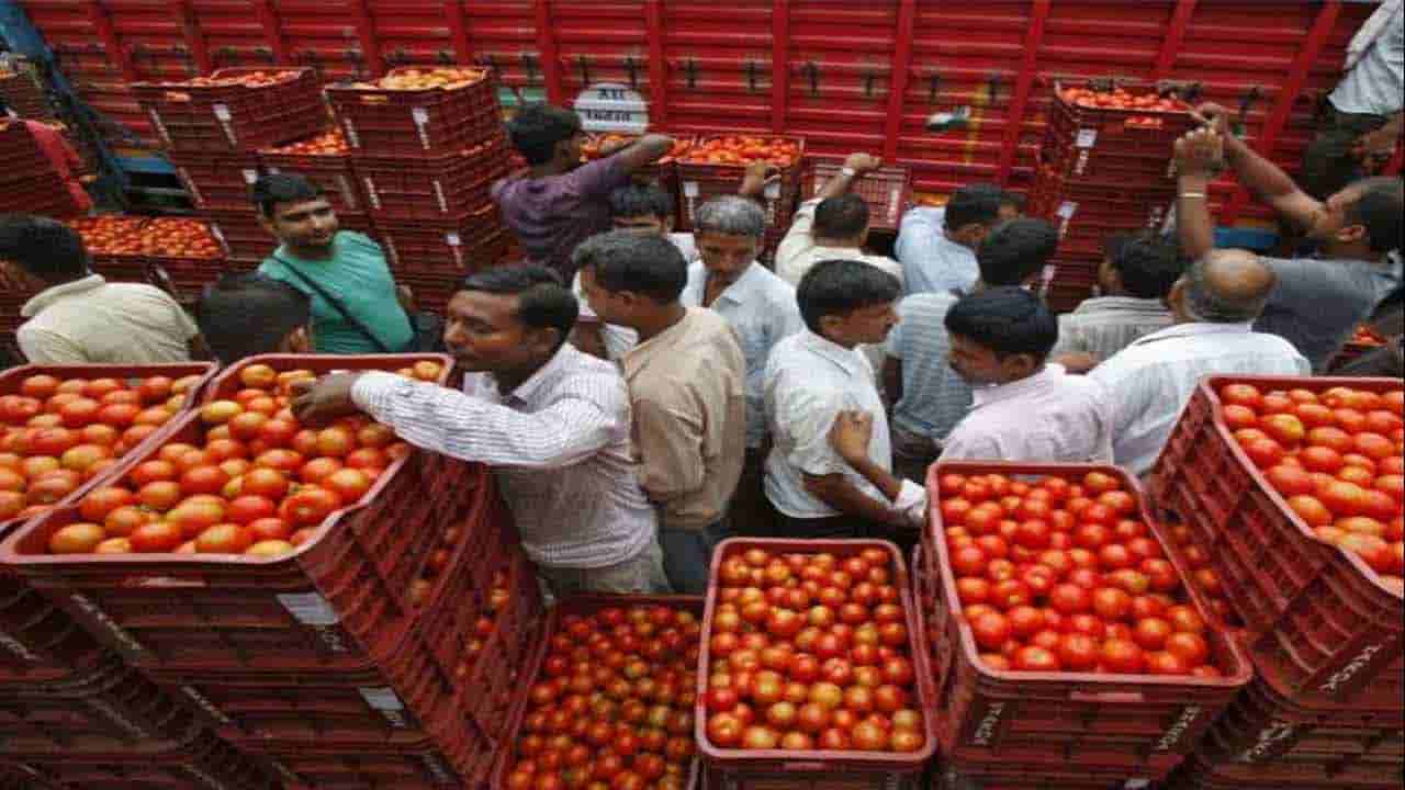 Tomato Price: కొండెక్కిన టమాటో ధర.. ఈ ఏడాది ఇదే హయ్యెస్ట్ ప్రైస్‌.. పండుగ చేసుకుంటున్న వ్యాపారులు..