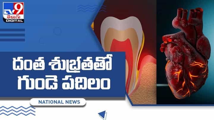 Tooth Infection: దంత శుభ్రతతో మీ గుండె పదిలం !! వీడియో Tooth Infection: దంత శుభ్రతతో మీ గుండె పదిలం !! వీడియో