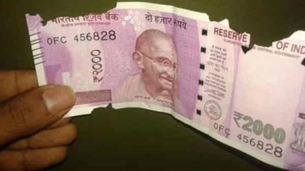 Currency Notes: చిరిగిన నోట్లను ఏం చేయాలో తెలియడం లేదా.? బ్యాంకులో ఇస్తే కొత్త నోట్లు ఇస్తారని మీకు తెలుసా?