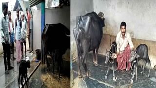 Love: ప్రియుడు మాట్లాడటం లేదని 100 నెంబర్‌కు ఫోన్‌ చేసిన ప్రియురాలు.. చివరకు పోలీసులు ఏం చేశారంటే..?