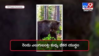 Viral Video: పెళ్లి వేడుకలో అమ్మమ్మ డ్యాన్స్‌ అదరగొట్టేసిందిగా !! వీడియో